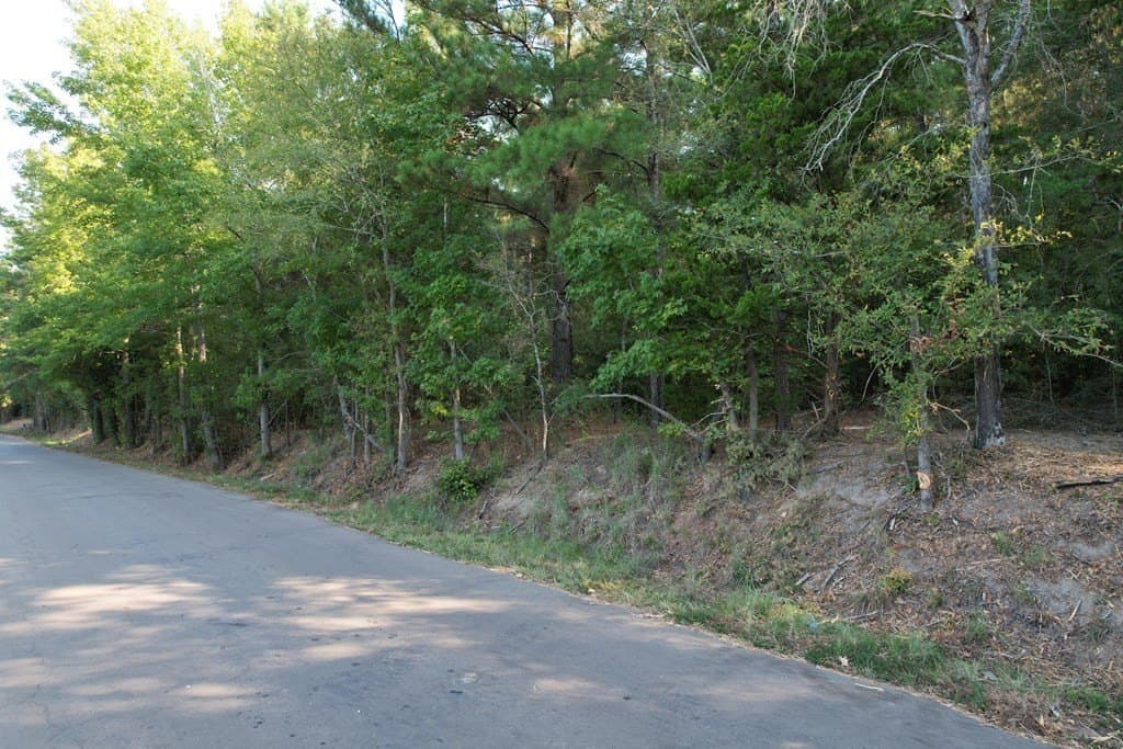 124.03 acres in Texas County - photo 5