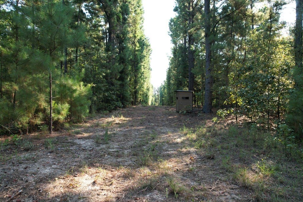 124.03 acres in Texas County - photo 13