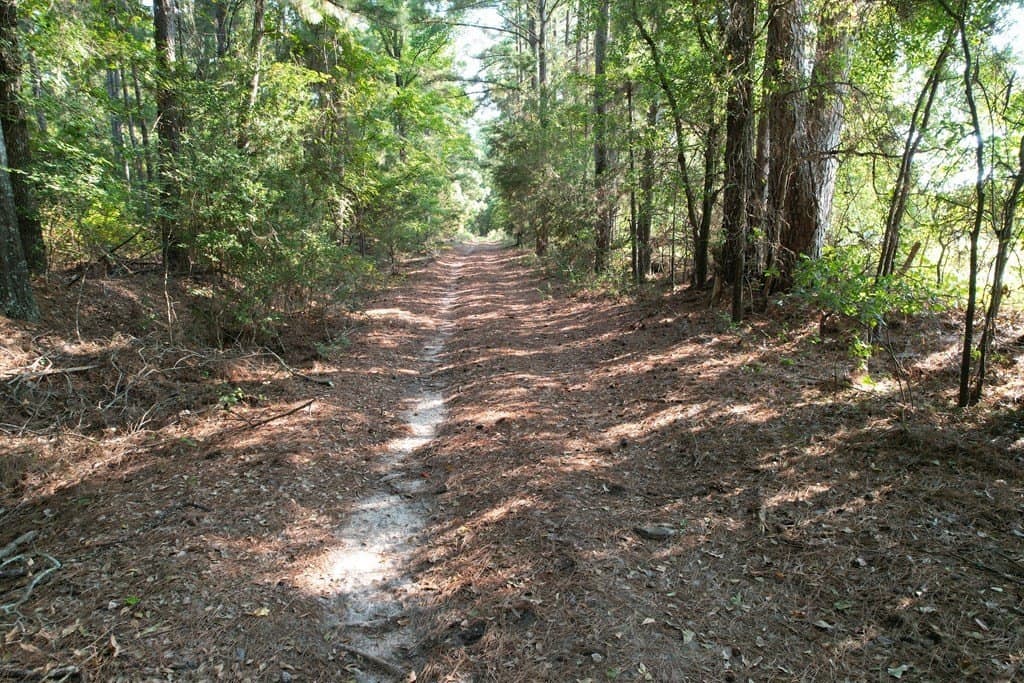 124.03 acres in Texas County - photo 9