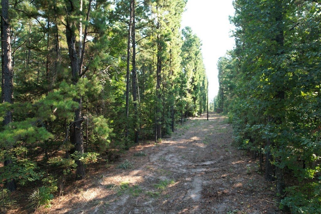 124.03 acres in Texas County - photo 11