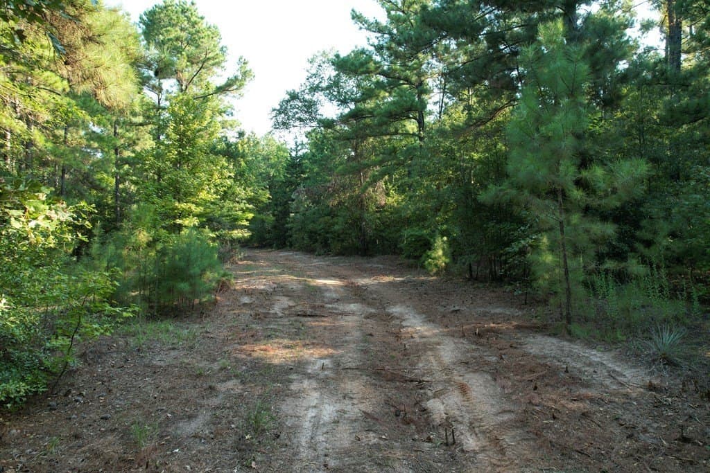 124.03 acres in Texas County - photo 6
