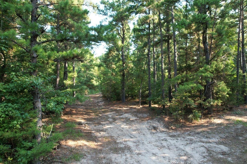 124.03 acres in Texas County - photo 12
