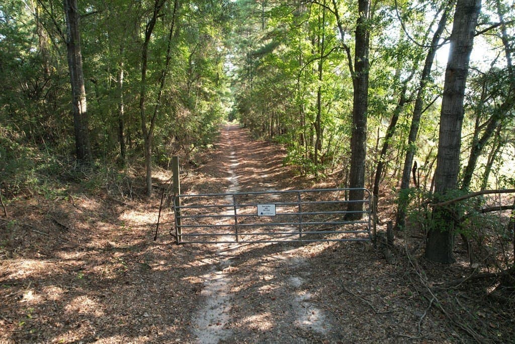 124.03 acres in Texas County - photo 8