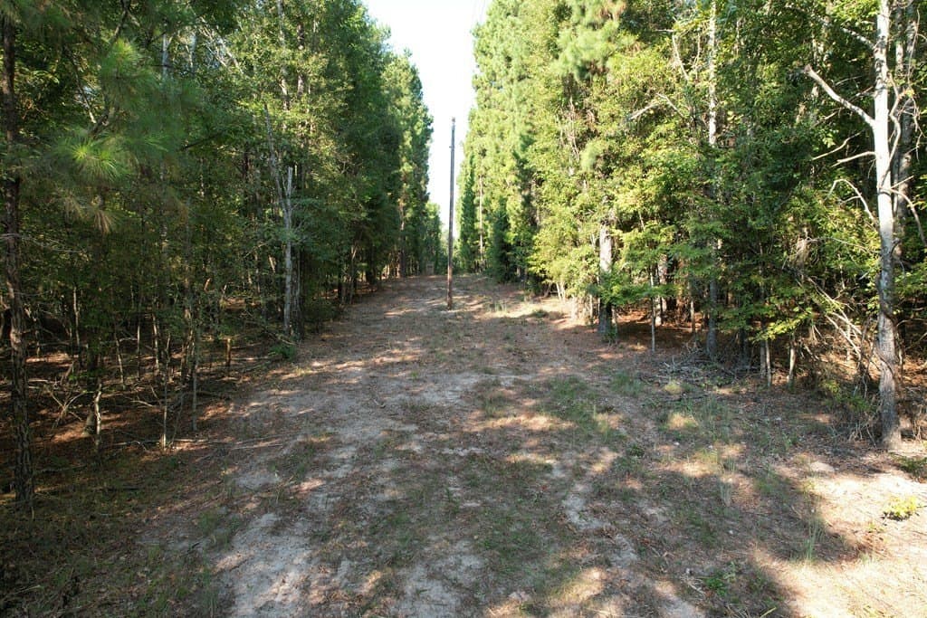 124.03 acres in Texas County - photo 10