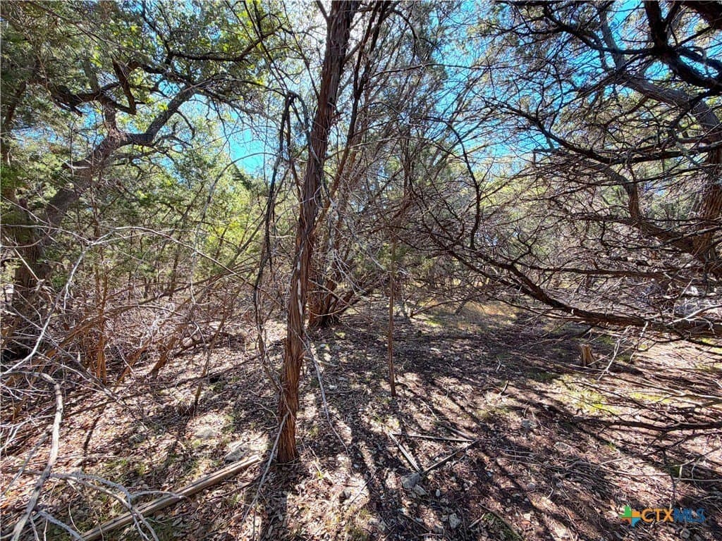 0.28 acres in Comal County featured view