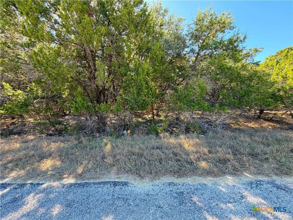 0.28 acres in Comal County gallery image 3