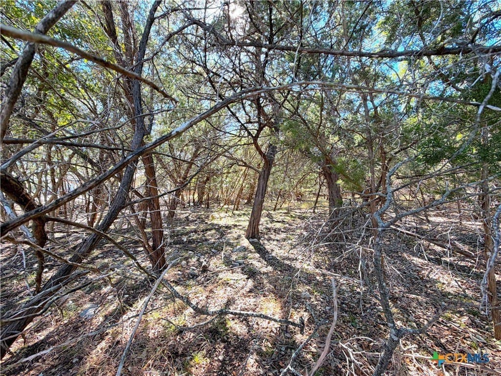 0.28 acres in Comal County - photo 6