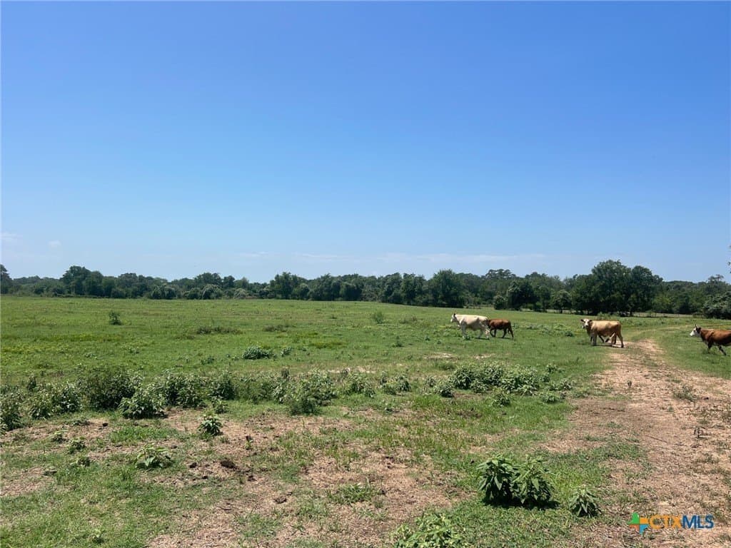 15 acres in Lavaca County - photo 7