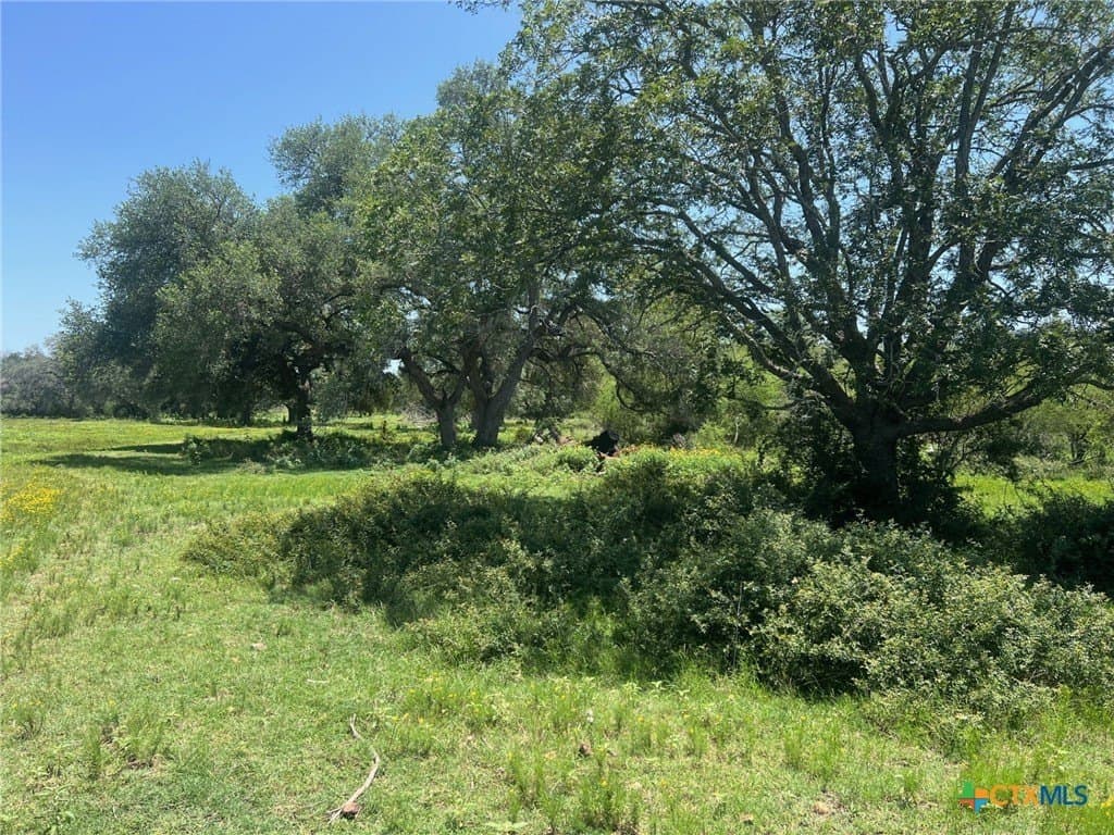 15 acres in Lavaca County - photo 9