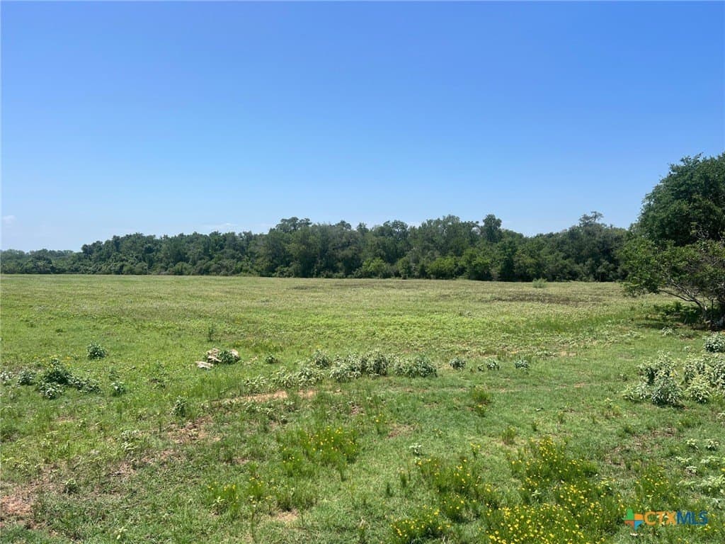 15 acres in Lavaca County - photo 8