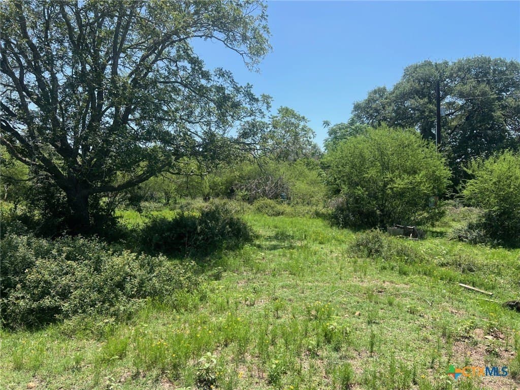 15 acres in Lavaca County gallery image 3