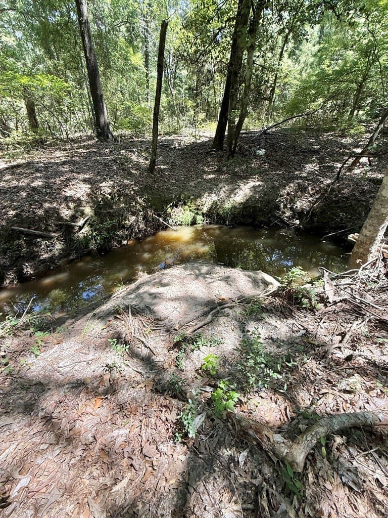 5.86 acres in Texas County - photo 7