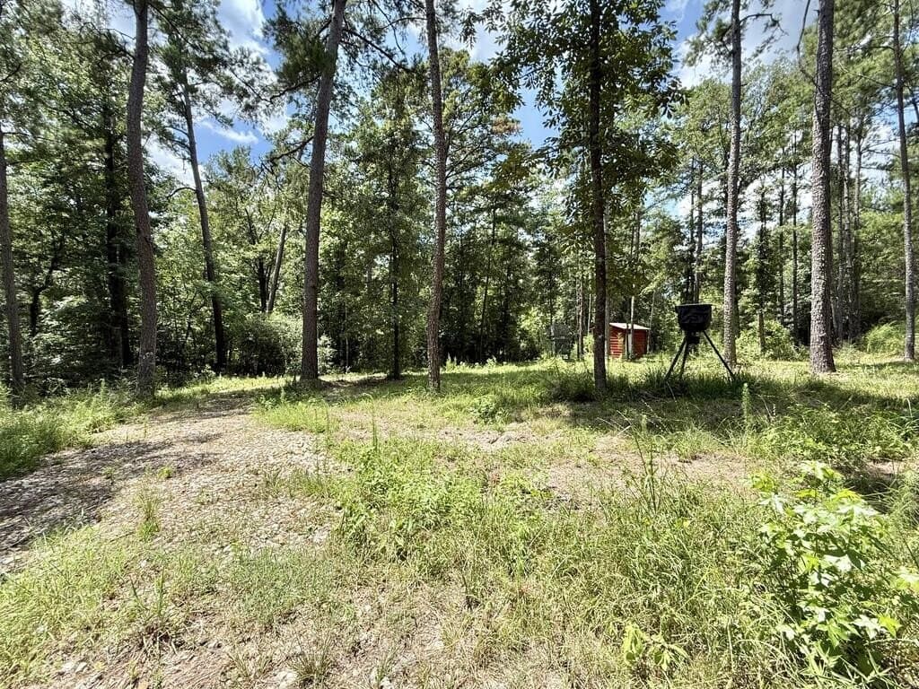 5.86 acres in Texas County - photo 10