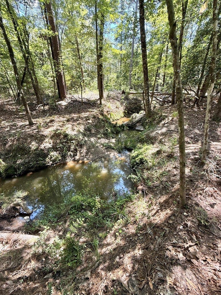 5.86 acres in Texas County - photo 8
