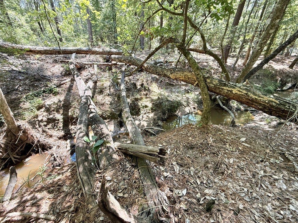 5.86 acres in Texas County - photo 10