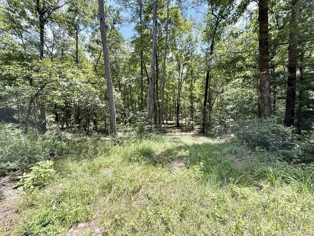 5.86 acres in Texas County - photo 9