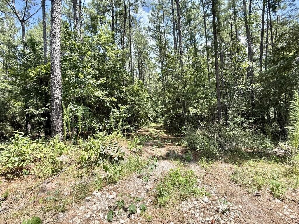 5.86 acres in Texas County - photo 11