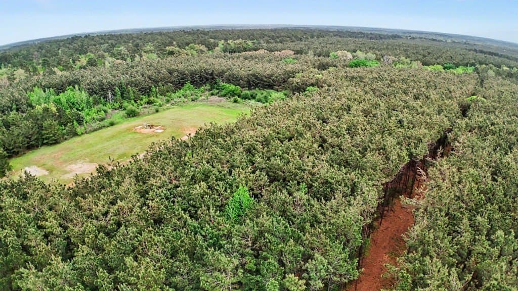 10 acres in Texas County - photo 6