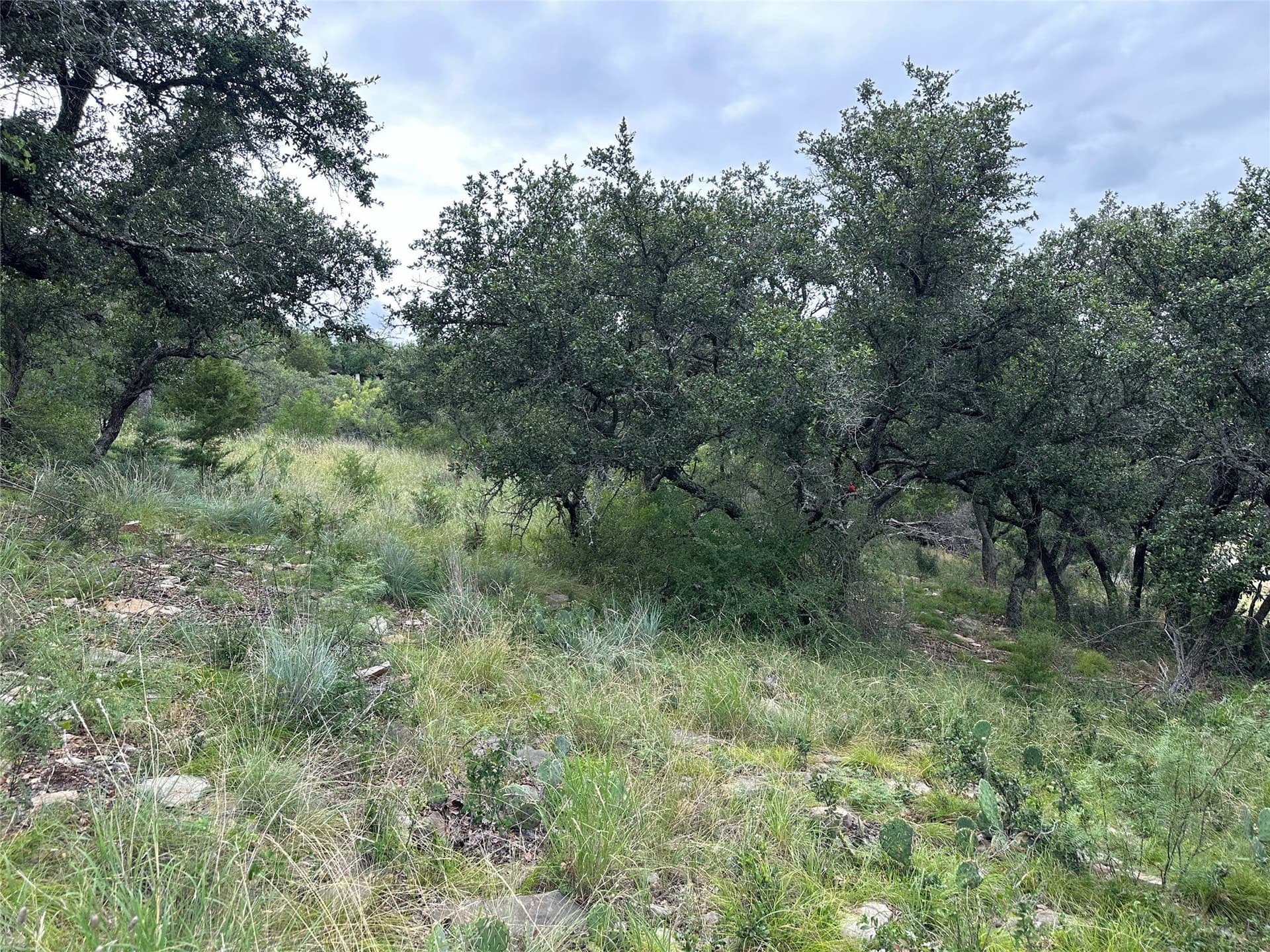 0.28 acres in Brown County gallery image 3