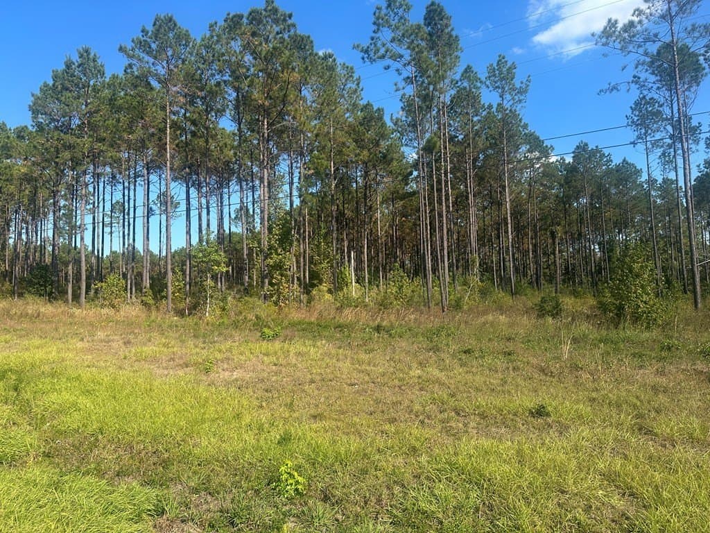 11.31 acres in Texas County gallery image 2