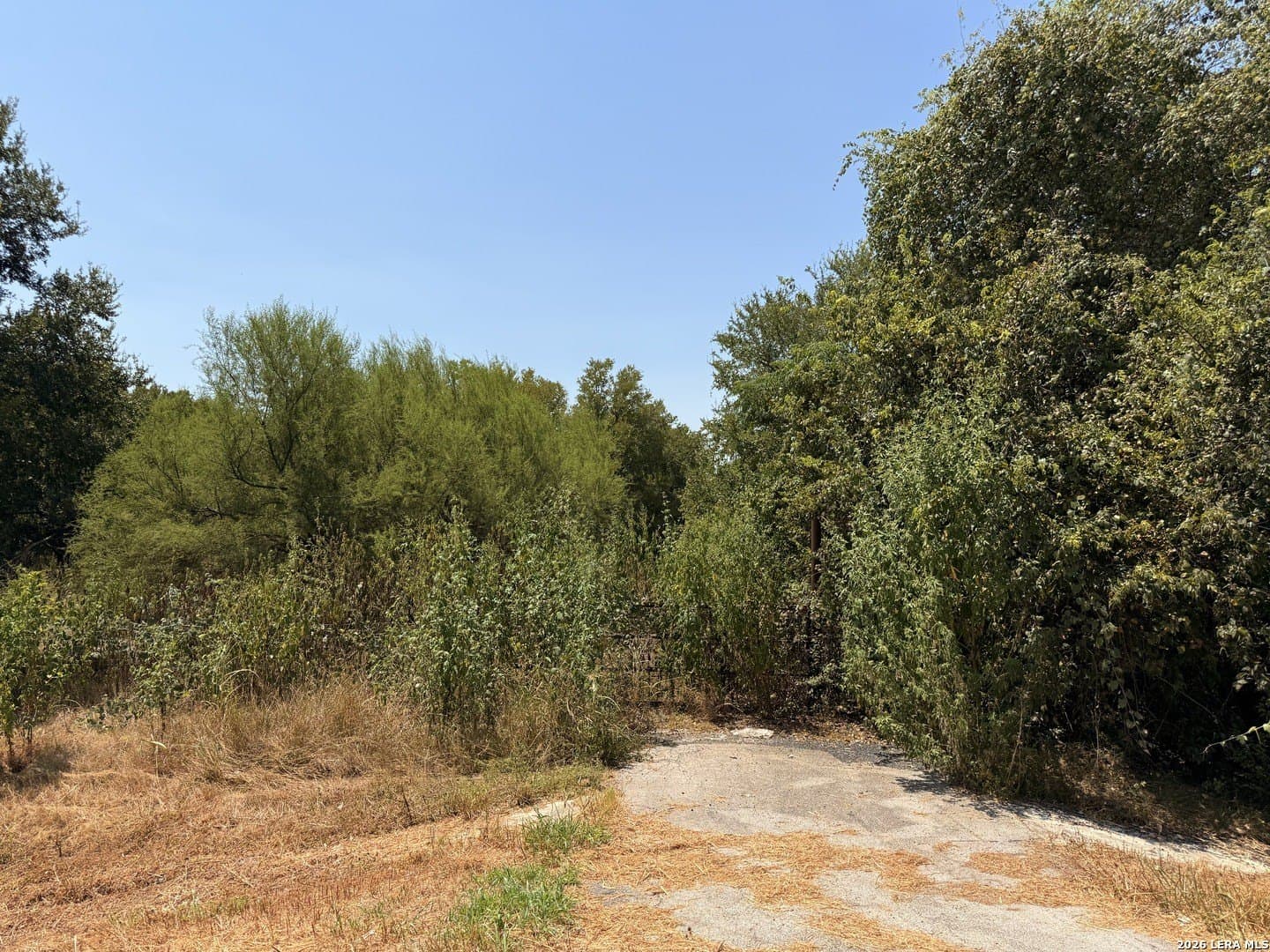 3.08 acres in Bexar County - photo 2