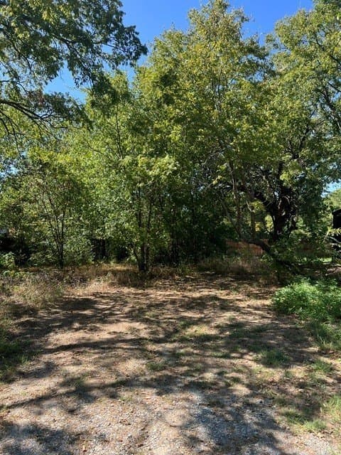 0.23 acres in Grayson County - photo 3