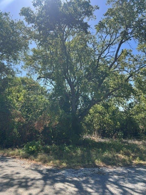 0.23 acres in Grayson County - photo 2