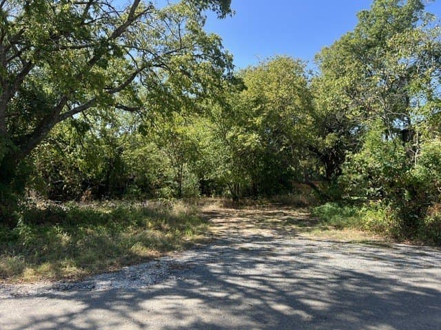 0.23 acres in Grayson County - photo 4