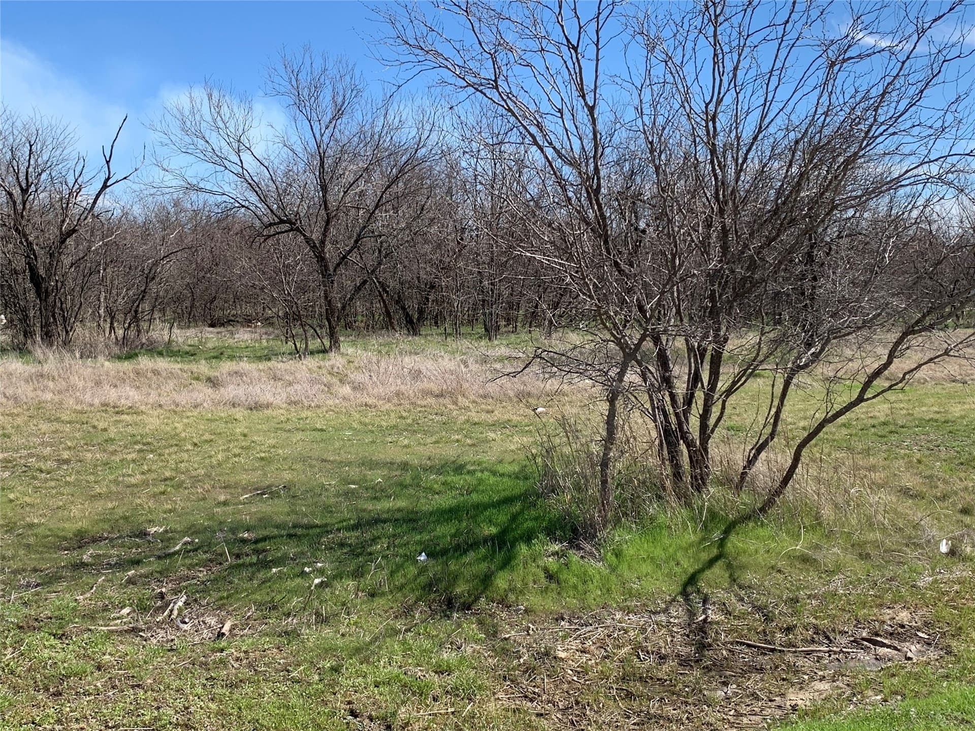0.28 acres in Wise County - photo 2