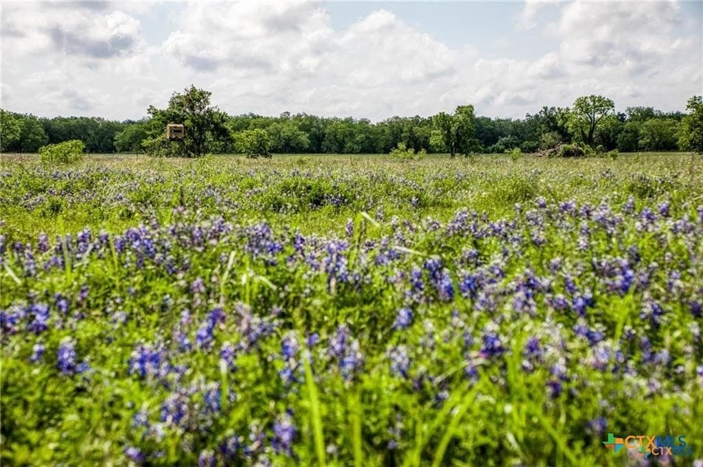 116.69 acres in Bell County - photo 16