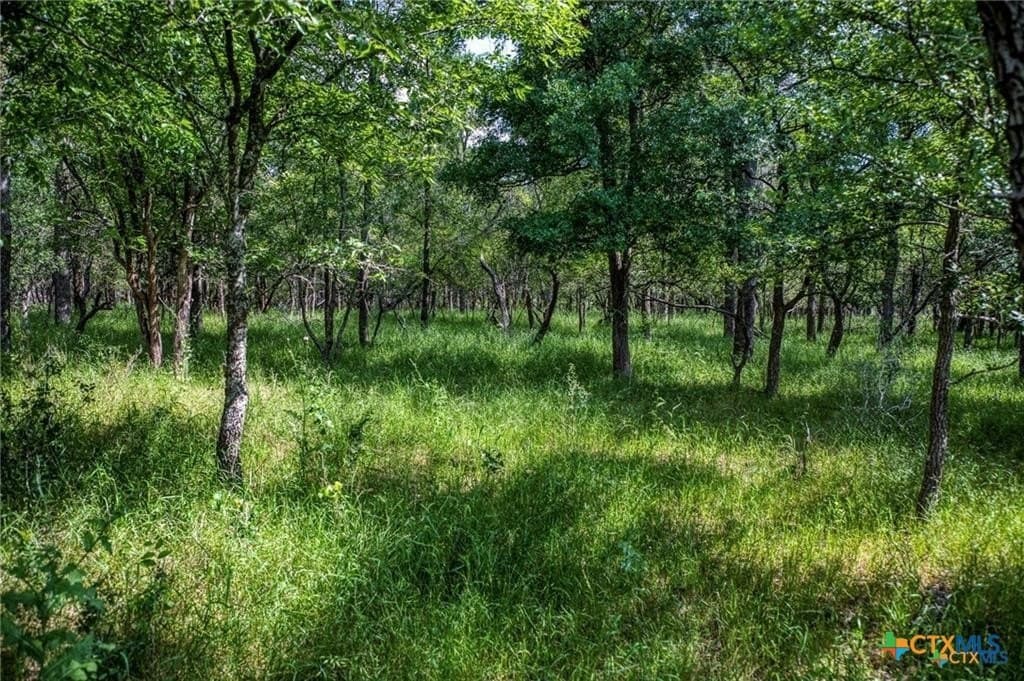 116.69 acres in Bell County - photo 11