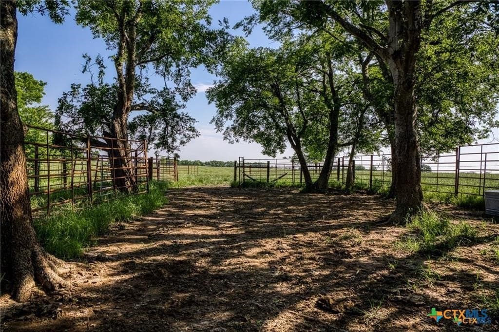116.69 acres in Bell County - photo 9