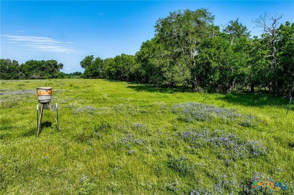 116.69 acres in Bell County - photo 18