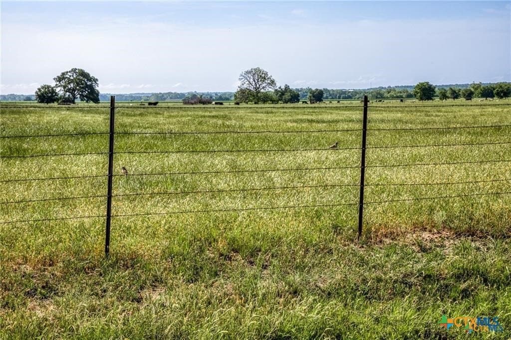 116.69 acres in Bell County - photo 19