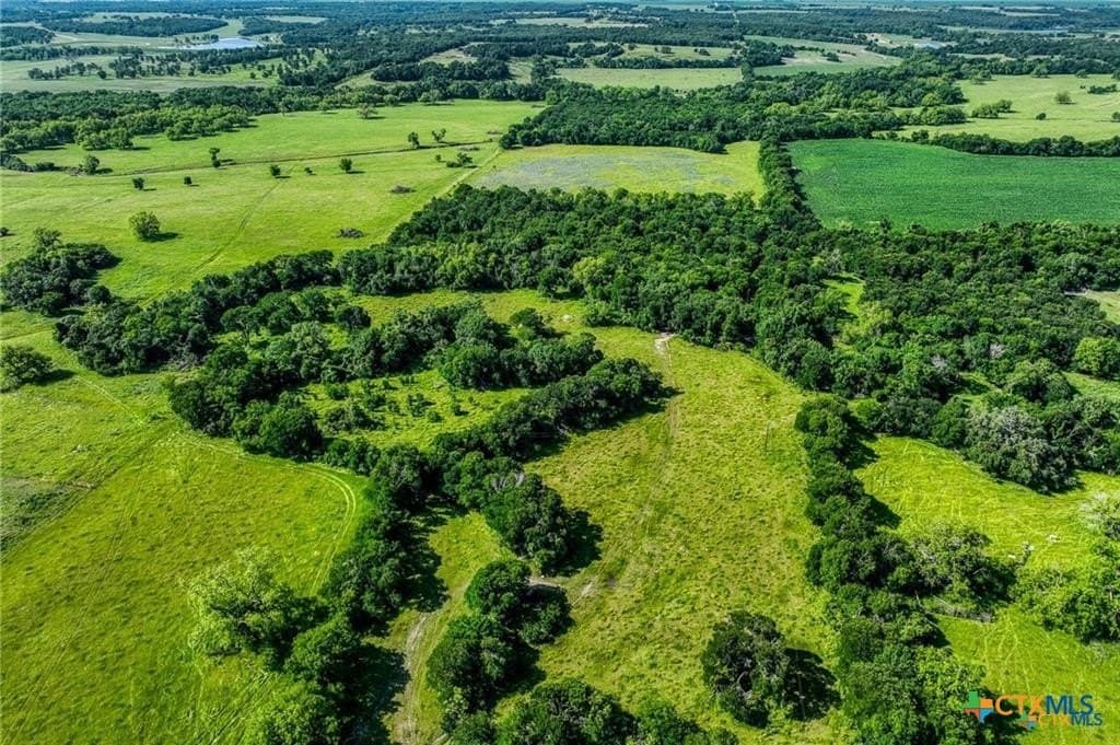 116.69 acres in Bell County - photo 20