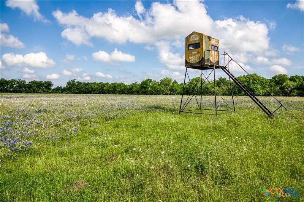 116.69 acres in Bell County - photo 17
