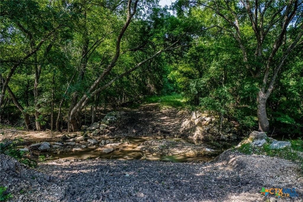 116.69 acres in Bell County - photo 10