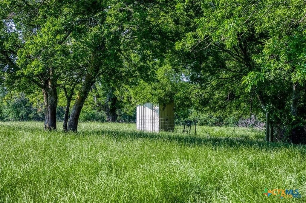 116.69 acres in Bell County - photo 6