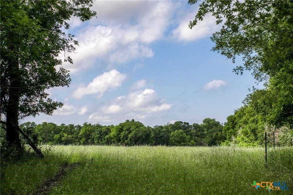 116.69 acres in Bell County - photo 14