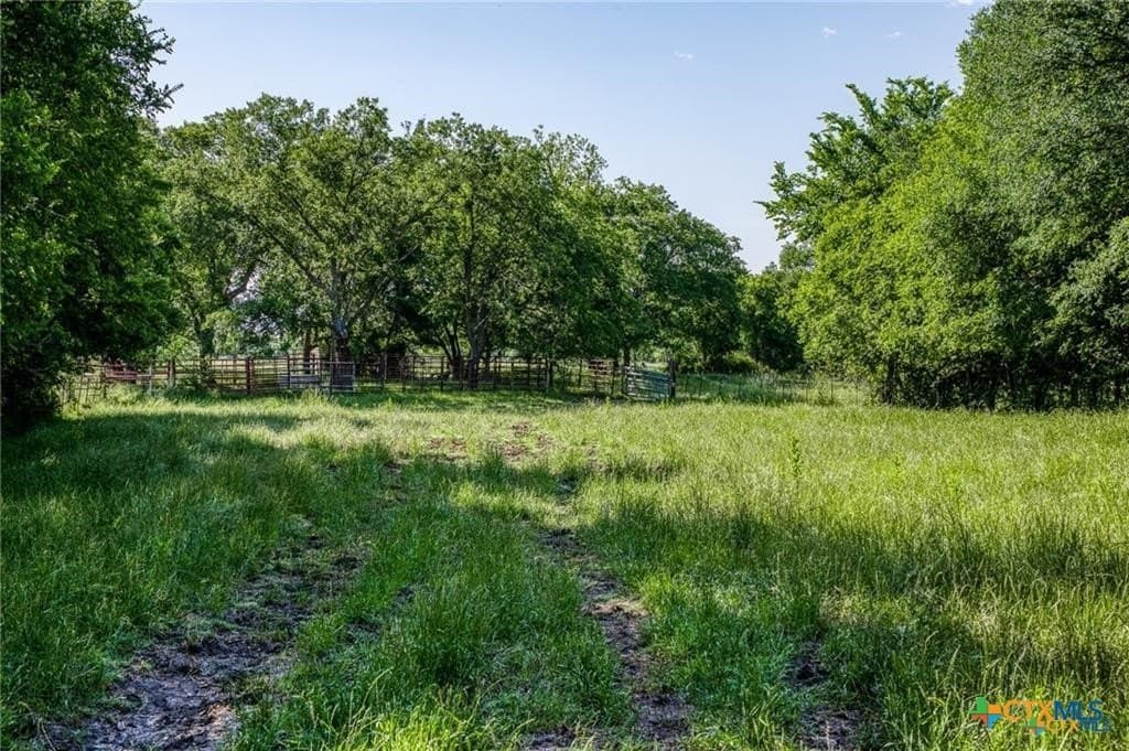 116.69 acres in Bell County - photo 8