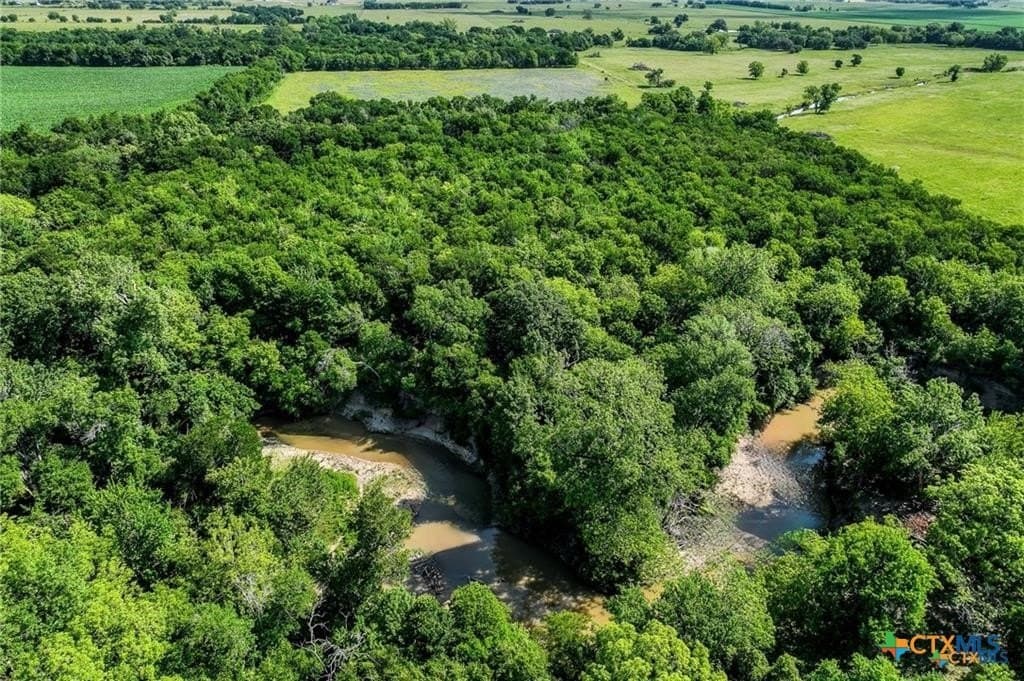 116.69 acres in Bell County - photo 25