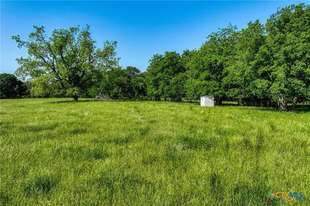 116.69 acres in Bell County - photo 7