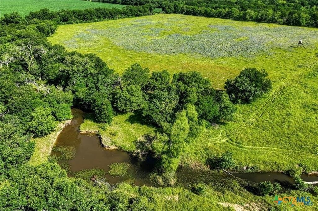 116.69 acres in Bell County - photo 23