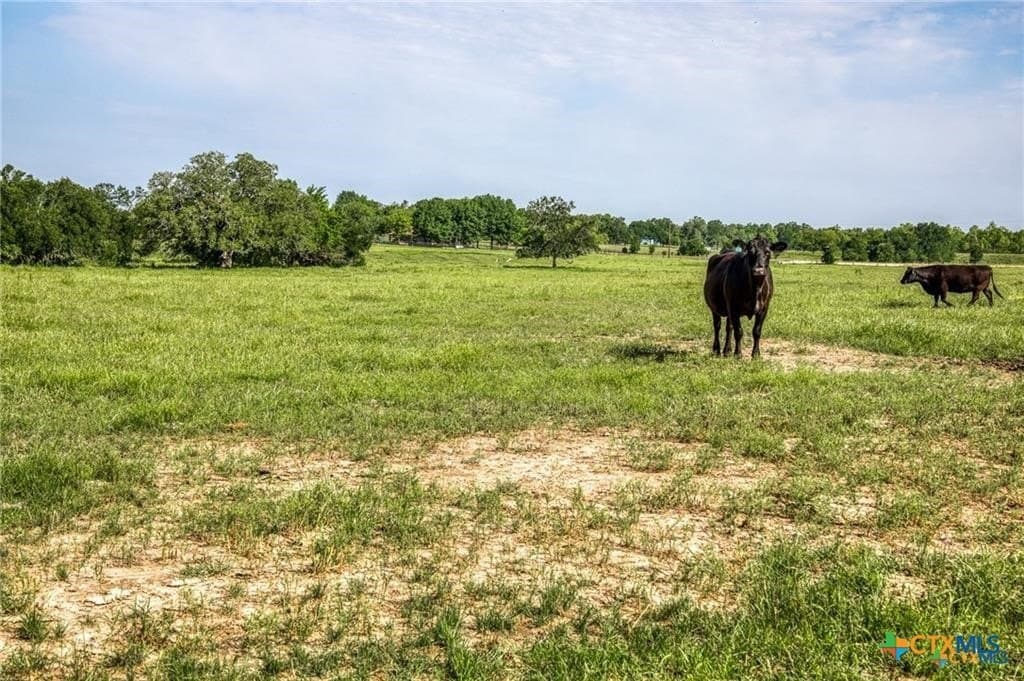 116.69 acres in Bell County - photo 15