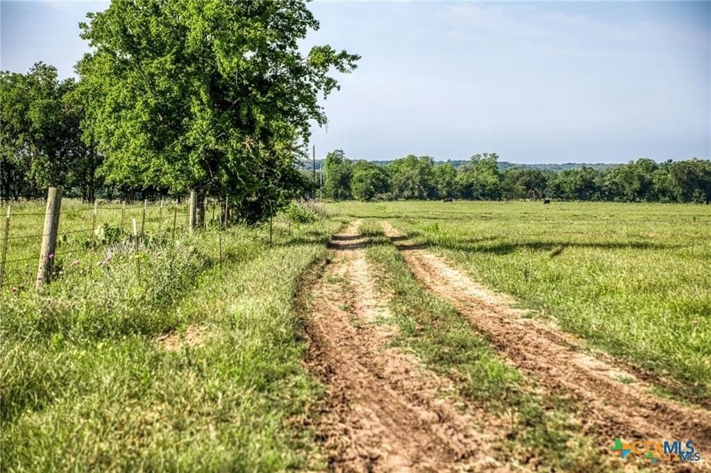 116.69 acres in Bell County - photo 2