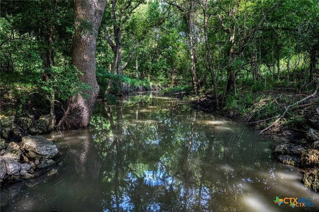 116.69 acres in Bell County