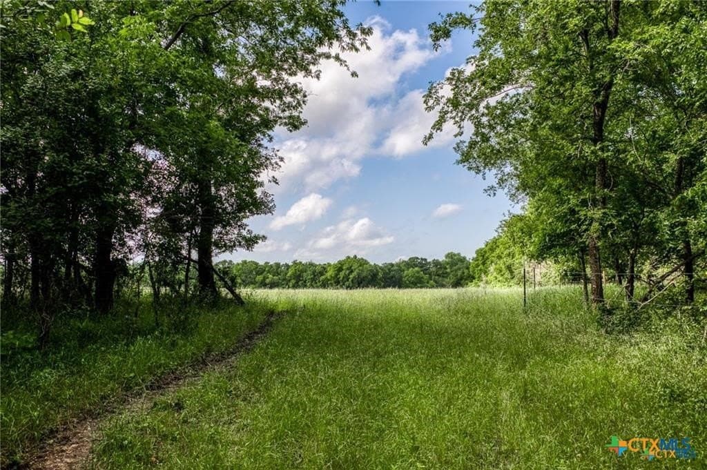 116.69 acres in Bell County - photo 13