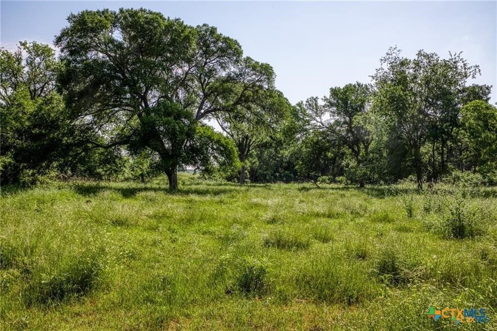 116.69 acres in Bell County - photo 12