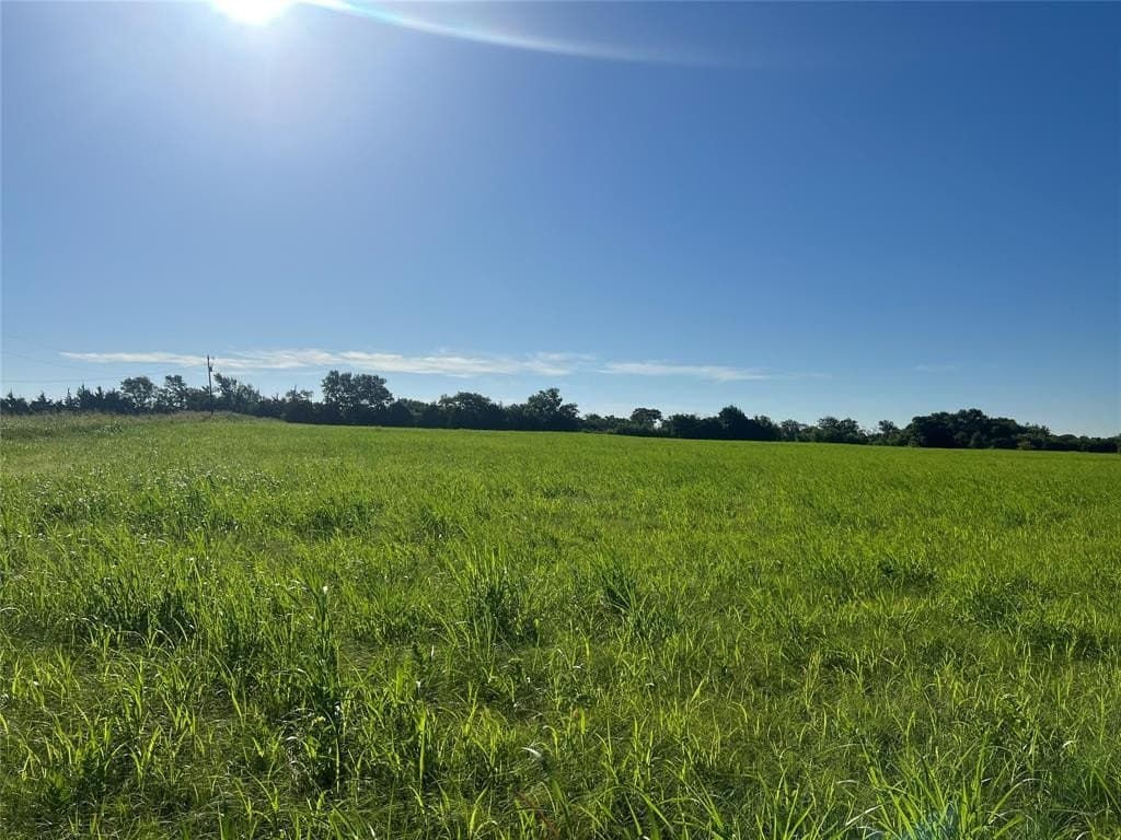 25.69 acres in Fannin County featured view