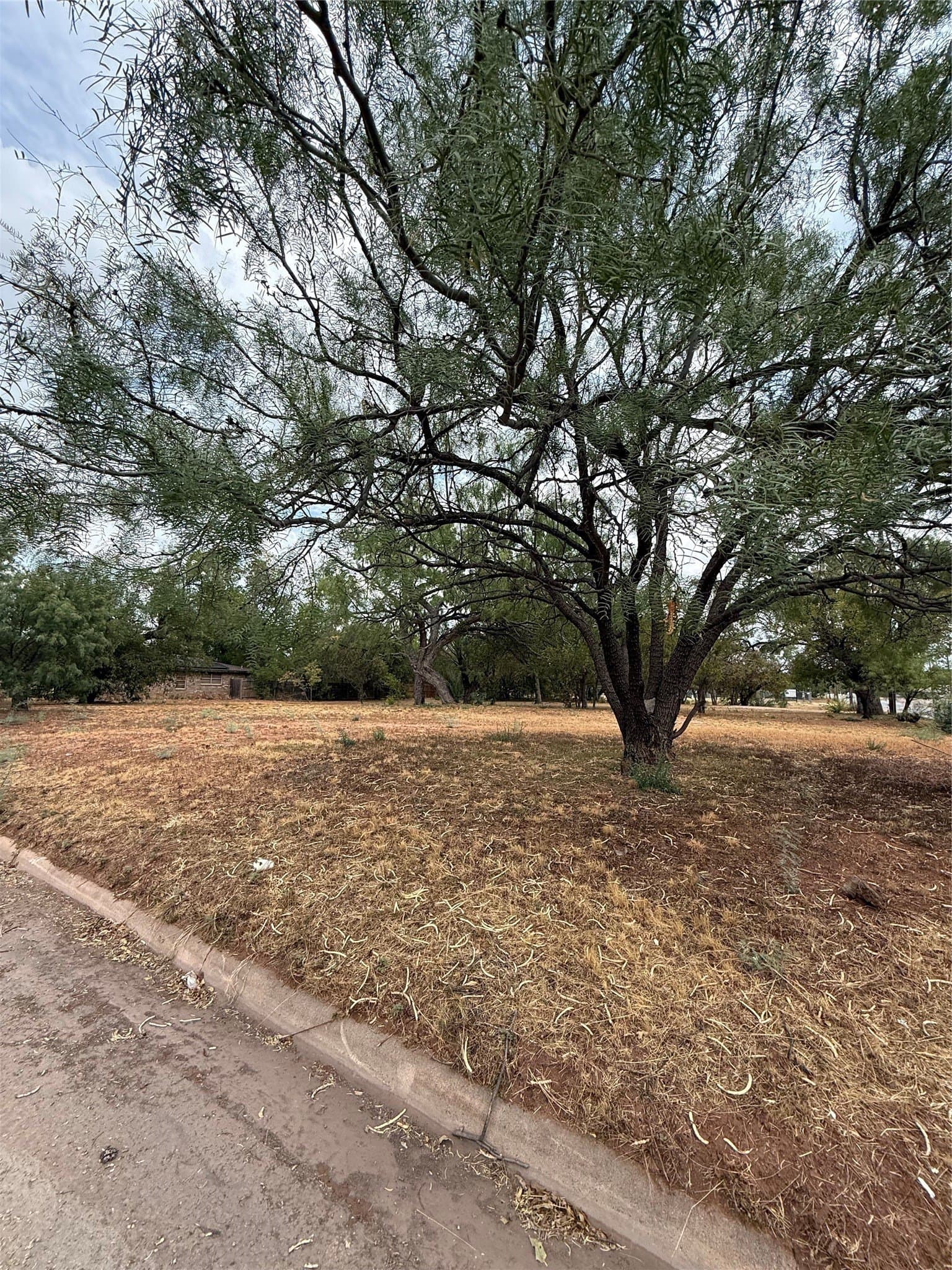 0.21 acres in Taylor County - photo 2